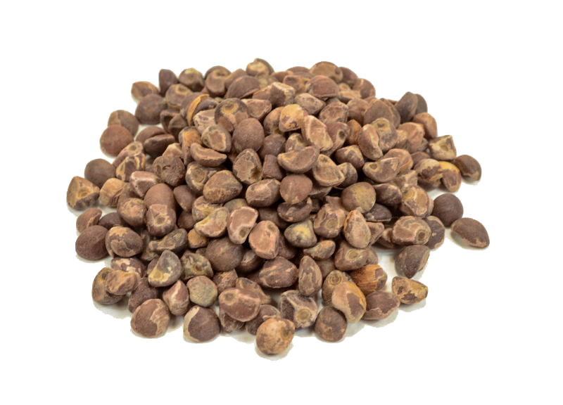 Hawaiian Baby Woodrose Hawaii -  (10 gram is +/- 100 zaden)